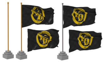 bsc joven Niños, yb bandera ondulación diferente estilo con estar polo aislado, 3d representación png