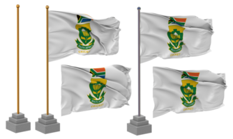 Grillo sur África, csa bandera ondulación diferente estilo con estar polo aislado, 3d representación png