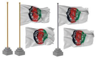 Afghanistan Cricket Board, ACB Flag Waving Different Style With Stand Pole Isolated, 3D Rendering png