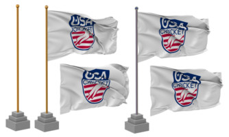 Unidos estados nacional Grilo equipe, usaca bandeira acenando diferente estilo com ficar de pé pólo isolado, 3d Renderização png