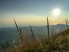Beautiful mountain landscape in summer photo