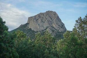 Mountain landscape in the summer photo