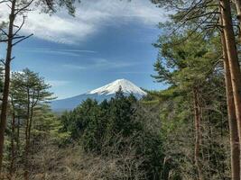 monte. fuji y lago kawaguchiko, yamanashi, Japón foto