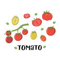Cherry tomatoes. Vegetable illustration for farm market menu. Healthy food design. vector