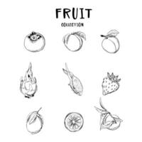 Vector sketch fruits and berries icons set.  Collection hand drawn farm product for restaurant menu, market label.