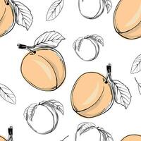 Peach seamless pattern. line drawing vector