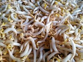 Raw White Organic Bean Sprouts on the market. Vegetarian food. Fresh and healty organic product photo