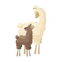 linda llama familia, Rizado llama mamá con bebé. animal padre y sus bebé. vector ilustración, póster diseño, decorativo ilustración, bebé y madre, madres día, bebé ducha tarjetas, contento alpacas