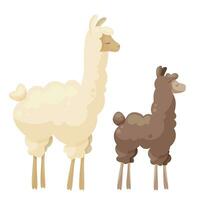 linda llama familia, Rizado llama mamá con bebé. animal padre y sus bebé. vector ilustración, póster diseño, decorativo ilustración, bebé y madre, madres día, bebé ducha tarjetas, contento alpacas