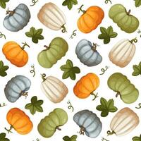 Fall seamless pattern with pumpkins on wite background. Use as thanksgiving day background, web page background, textiles, wrapping paper, banners, footer, header, divider. Vector illustration.