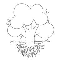 Black and white drawing of deciduous tree with large krone root system. Line silhouette for kid coloring. Isolated Vector Image