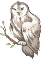 Halloween owl on transparent background. png