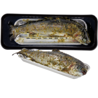salmon in plastic plate cut out isolated transparent background png