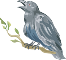 Halloween crow on transparent background. png