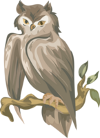 Halloween owl on transparent background. png