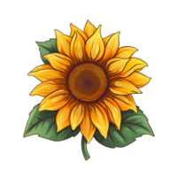 Sunflower Fainting Drawing Cartoon Artistic Style No Background Perfect for Print on Demand Merchandise AI Generative png