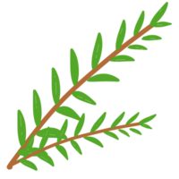 clipart de hoja png