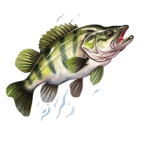 Largemouth bass fish isolated on transparent background ai generative png