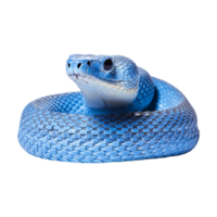 Blau Viper Schlange isoliert Hintergrund ai generativ png