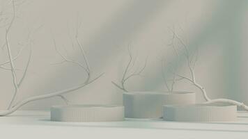 3d minimal white display podium with white dry tree, vintage frame against white background. 3d rendering of realistic presentation for product advertising. minimal illustration. photo