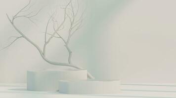 3d minimal white display podium with white dry tree, vintage frame against white background. 3d rendering of realistic presentation for product advertising. minimal illustration. photo