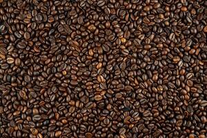 black coffee beans background photo