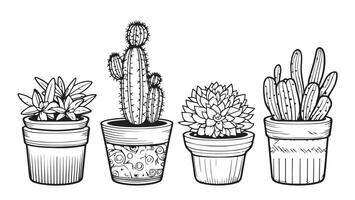 conjunto de cactus en ollas bosquejo mano dibujado vector ilustración