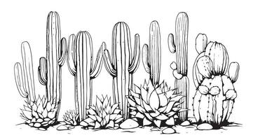 Set of cacti sketch hand drawn Vector illustration