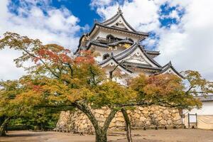 Tenshu of Hikone Castle located in Hikone city, Shiga, japan photo