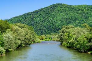 swift mountain river against the backdrop of a large mountain. View of the water in the mountain valley. Beautiful landscape. Carpathians. photo