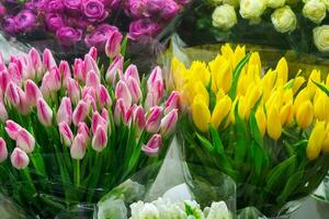 Bouquet of colorful Tulip, other different flowers at entrance flower store. Showcase. Beautiful flowers for catalog, online store. Flower business. Concept flower store and delivery. photo