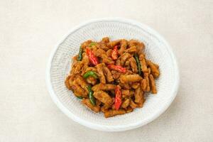 Orek Tempe or Stir Fry Tempeh, sweet and spicy. Indonesian traditional food. photo