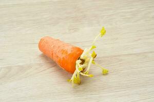 Cut Carrot with Sprouts on wooden table photo