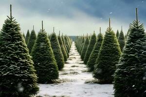 Christmas pine tree farm blanketed in white snow amidst lush fir trees in winter season. Snowy landscape of green pine tree farm field. Xmas tree forest. Winter holiday background. Generative AI. photo