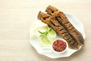 Lele Goreng or Fried Catfish, Indonesian traditional food. Served with chilli paste, cucumber and cabbage photo