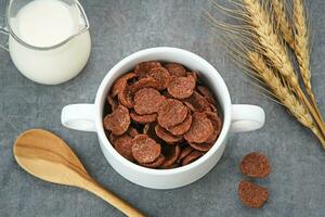 Bowl of cereal chocolate flavor, sweet crunchy photo