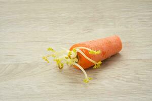 Cut Carrot with Sprouts on wooden table photo