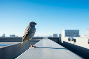 a bird is standing on a ledge in front of a building generative ai photo