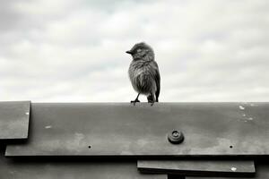 un negro y blanco foto de un pájaro en un techo generativo ai