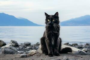 a black cat sitting on a rock next to a body of water generative ai photo