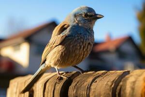 a blue and gray bird sitting on a piece of wood generative ai photo