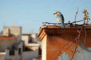 a blue and white bird perched on top of a building generative ai photo
