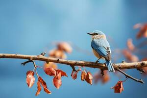 a blue and white bird is sitting on a branch generative ai photo