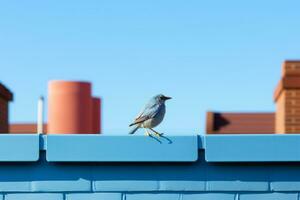 a blue bird sitting on the edge of a roof generative ai photo