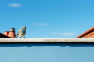 a blue bird sitting on top of a roof with a blue sky in the background generative ai photo