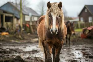 a brown horse standing in the mud in front of a house generative ai photo