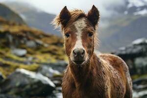 un marrón caballo en pie en frente de un montaña generativo ai foto