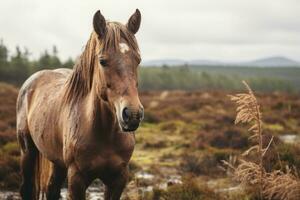 a brown horse standing in the middle of a field generative ai photo