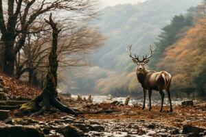 un ciervo es en pie en el medio de un bosque generativo ai foto