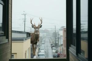 a deer is standing on the edge of a building generative ai photo